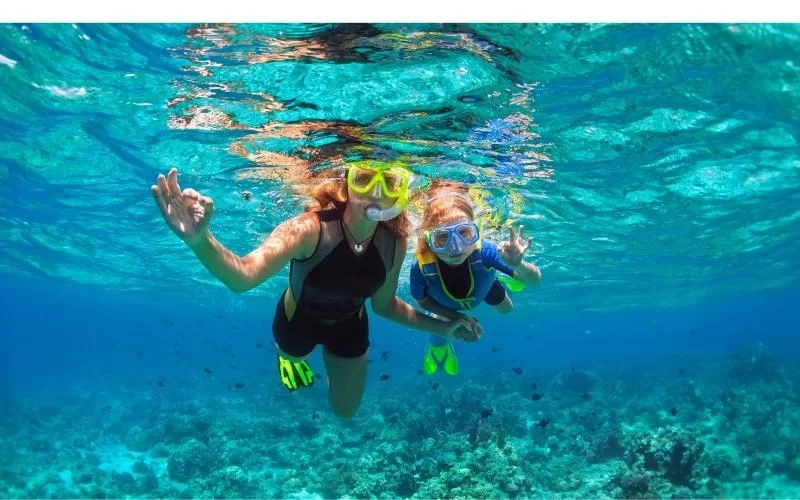 7 Best Barbados Snorkeling Locations