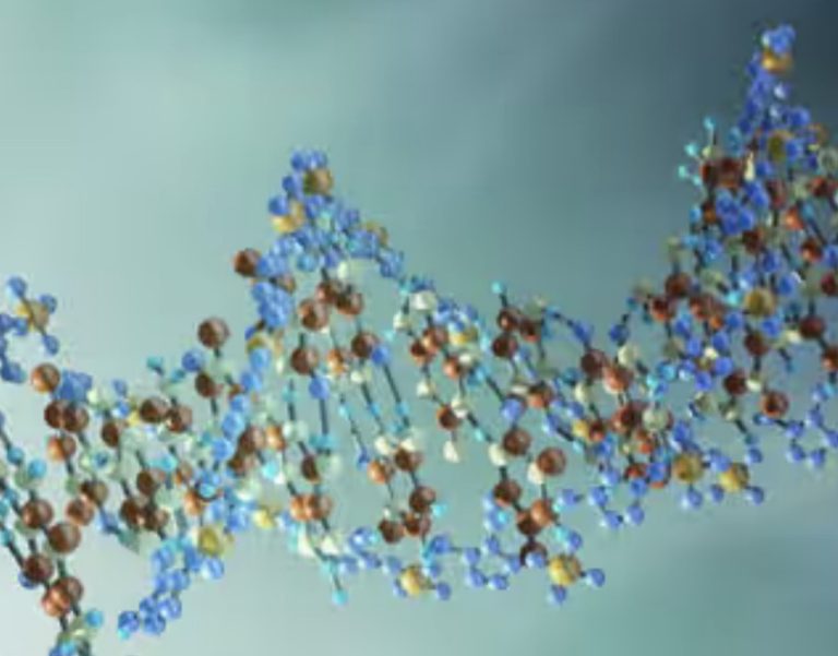 DNAmolecule-Deoxyribonucleicacid