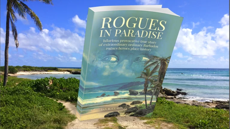 Beyond the Beach- Rogues In Paradise Review