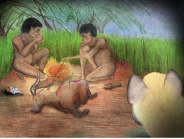 Diet and Dna Evolution