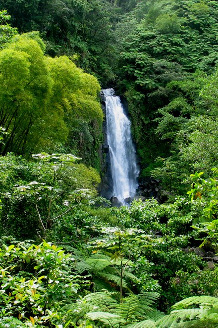 Trafalgi Falls Dominica