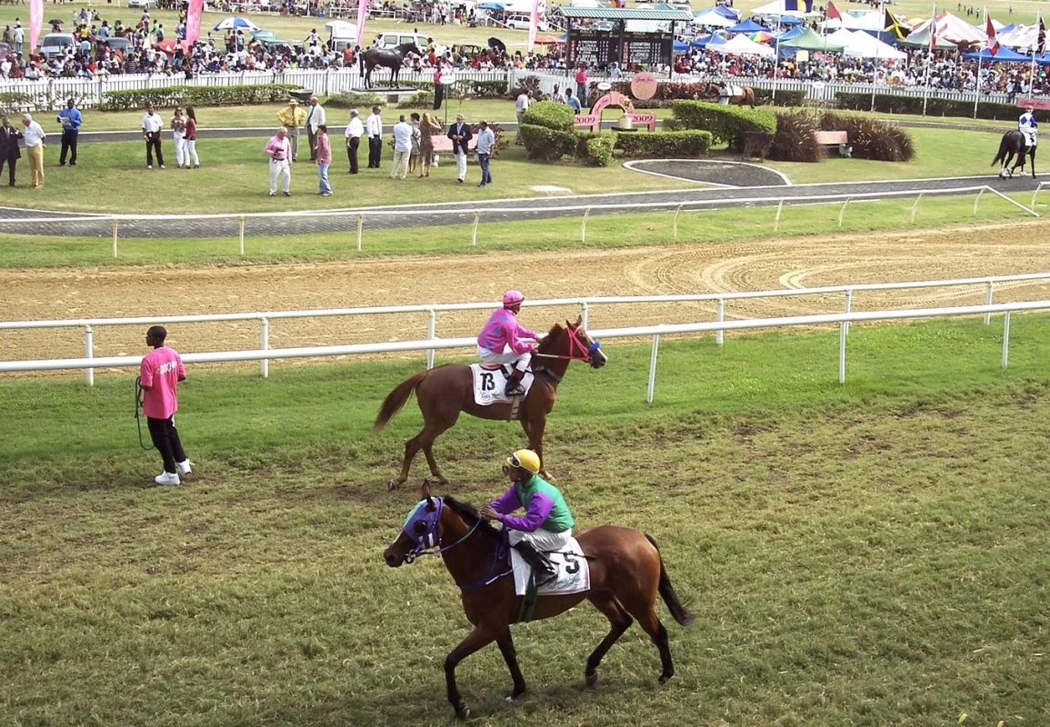island horse racing - some ofthe worlds best jockies and horses compete at the barbados Savannah