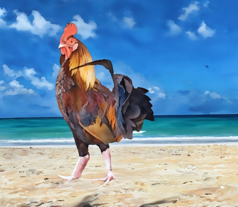 the outspoken yadrfowl featured in Rogues Podcast#1 Script and Video